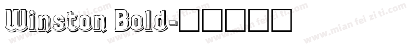 Winston Bold字体转换